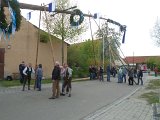 Maibaum_2016 (86).JPG